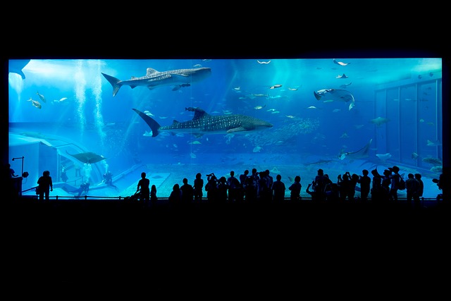 aquarium in Arabic