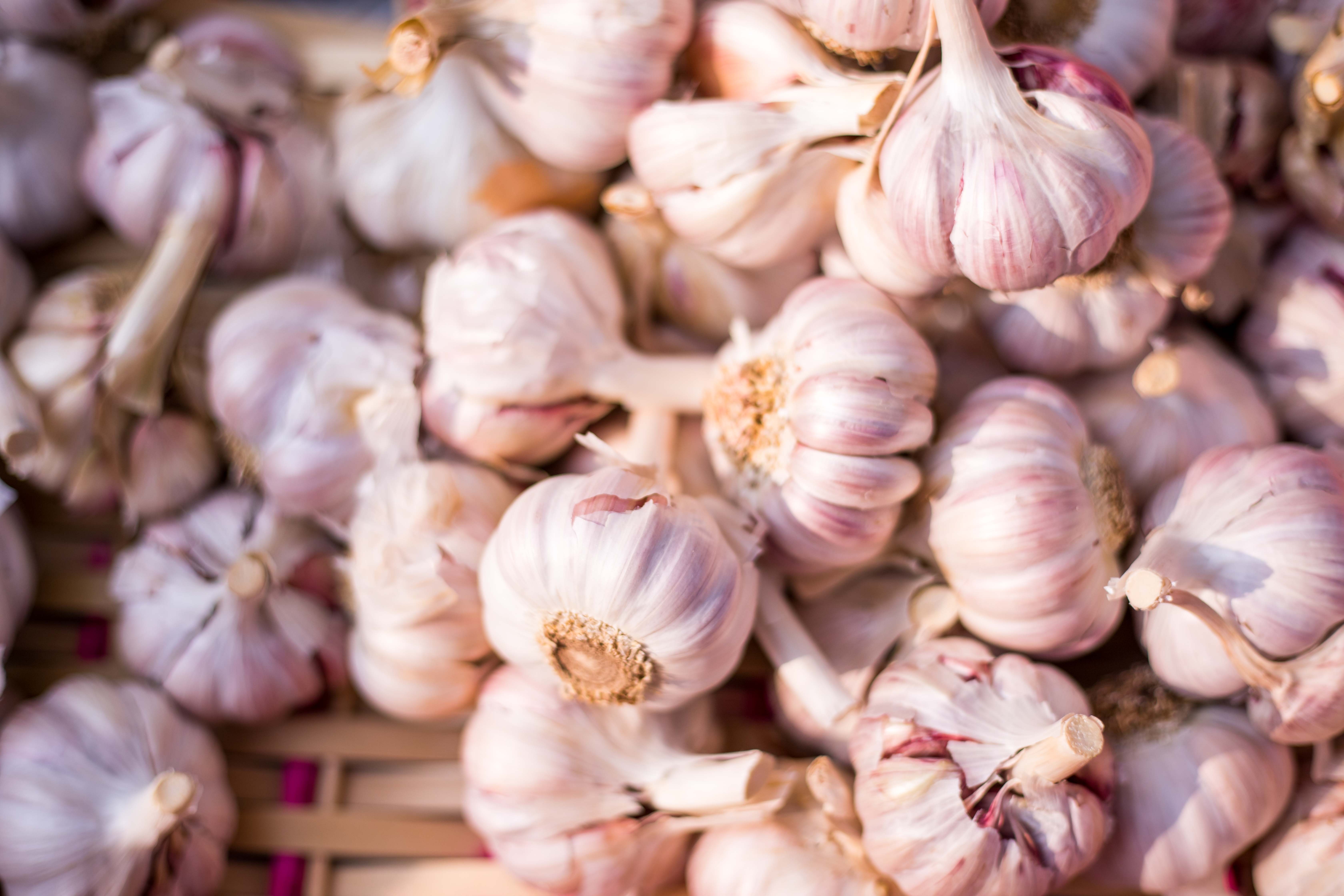Garlic In Arabic