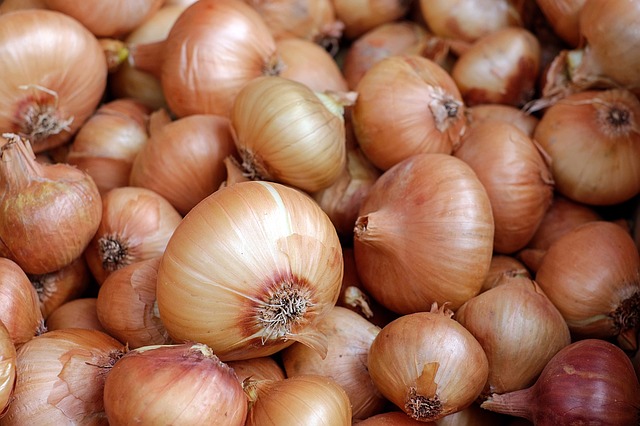 onion in arabic